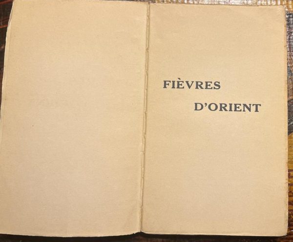 1938, René Pinon, Fièvres d'Orient,  Égypte - Syrie - Palestine - Liban - Arabie - Alexandrette, First Edition - Image 2