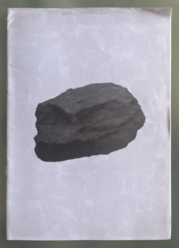 Rare Zine! 1/150 Copies, Theo Michael, The New Prophecy, Mexico, Fine Arts