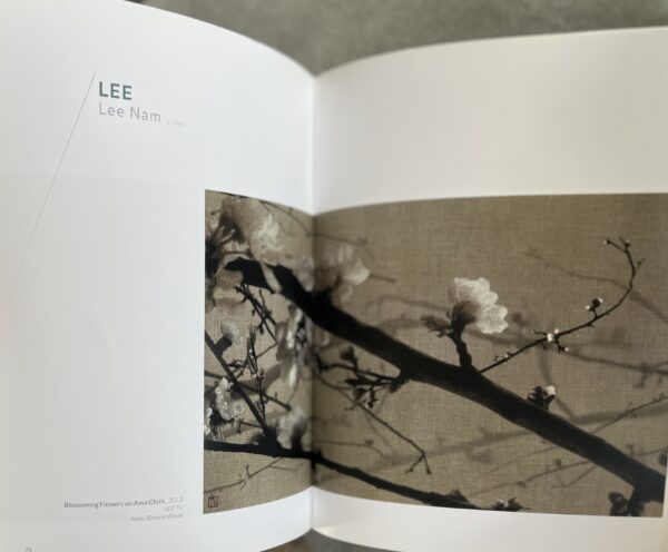 2015, CONTEMPORARY KOREA, ART, Opera Gallery, SON BONG CHAE, RAN HWAG, Catalog, First Edition - Image 5