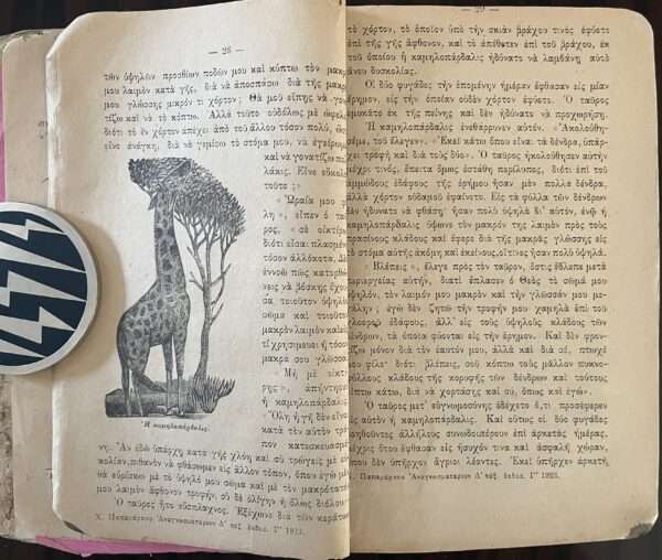 1923, Greece, Original Vintage, Anagnostikon, Anagnosmatarion, Primary School Book, 4th Grade - Image 5