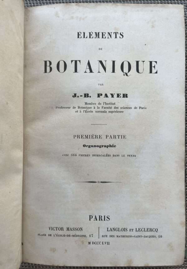 Rare, 1857, French Book, J.-B. Payer, Elements de Botanique, Part I, Organographie, Botany - Image 4