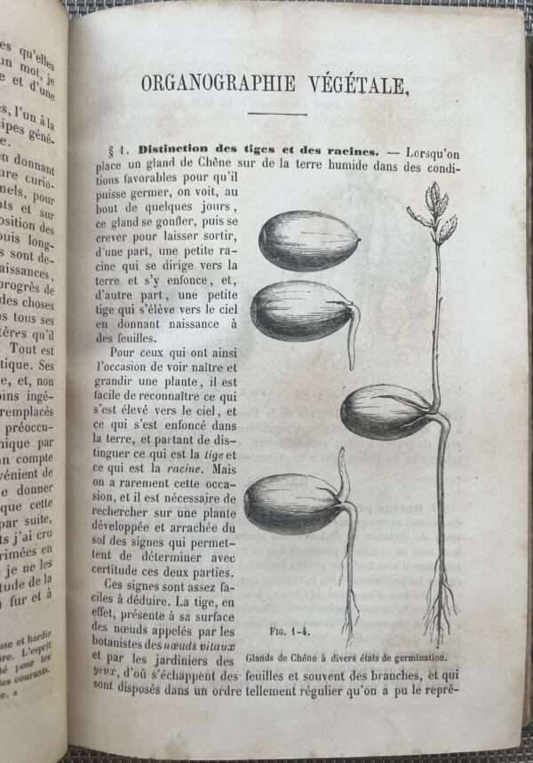 Rare, 1857, French Book, J.-B. Payer, Elements de Botanique, Part I, Organographie, Botany - Image 6