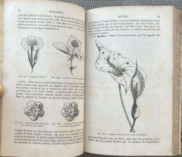 Rare, 1857, French Book, J.-B. Payer, Elements de Botanique, Part I, Organographie, Botany