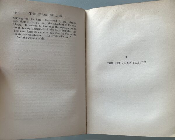 1900, Gabriele D'Annunzio, The Flame of Life, L. C. Page, Boston, First English Edition - Image 10