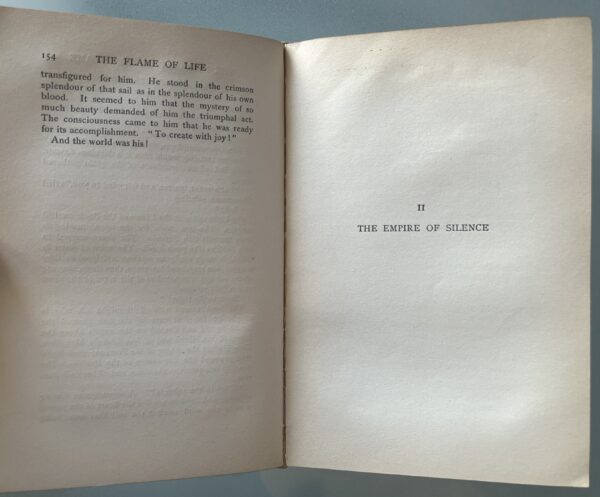 1900, Gabriele D'Annunzio, The Flame of Life, L. C. Page, Boston, First English Edition - Image 11