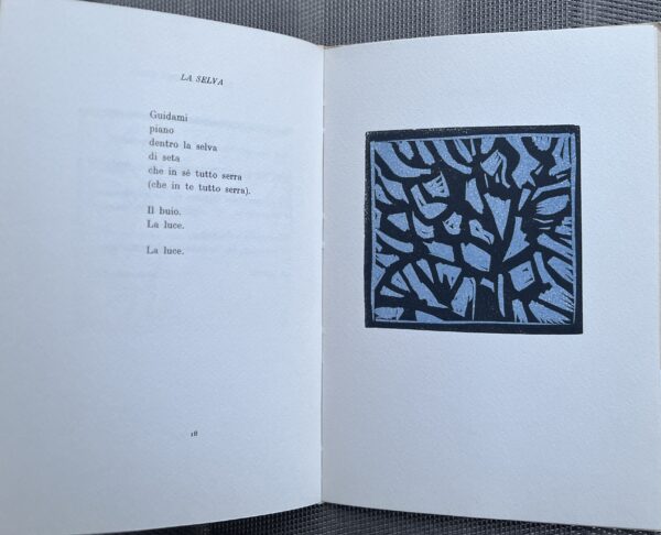 1992 & 1998, SIGNED, 2 Books, F. A. Lepore, Carlo Carosso, First Edition, Poetry & Art, 1/700 - Image 15