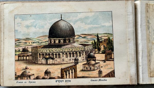 1880, Jerusalem, Palestine, Illustrated Book, Souvenir Album, Flowers and Views of the Holy Land - Image 6