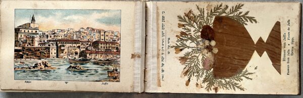 1880, Jerusalem, Palestine, Illustrated Book, Souvenir Album, Flowers and Views of the Holy Land - Image 10