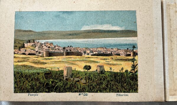 1880, Jerusalem, Palestine, Illustrated Book, Souvenir Album, Flowers and Views of the Holy Land - Image 11