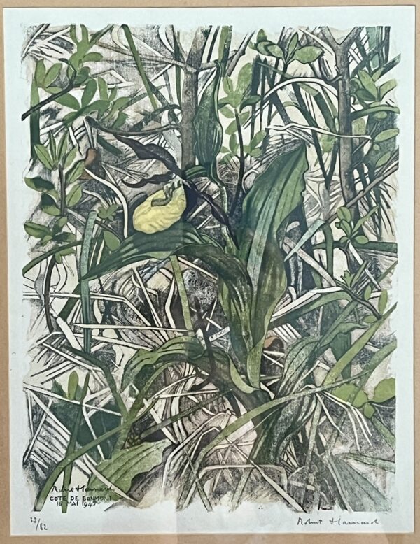 Rare Signed Robert Heinard (1906 - 1999) - "Lady's slipper" - "Sabot de Venus" 1/82 Copies, 14 Colour Woodcut - Image 8