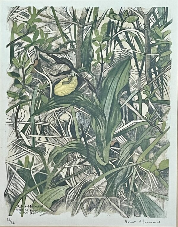 Rare Signed Robert Heinard (1906 - 1999) - "Lady's slipper" - "Sabot de Venus" 1/82 Copies, 14 Colour Woodcut - Image 4