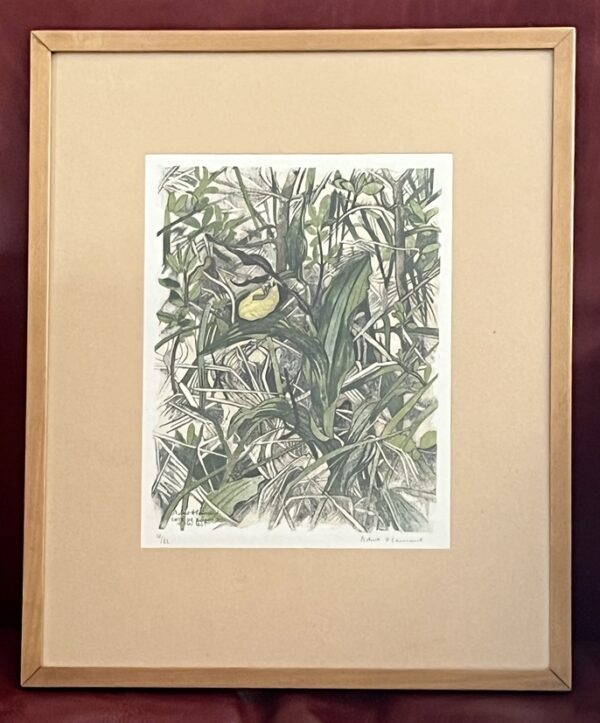 Rare Signed Robert Heinard (1906 - 1999) - "Lady's slipper" - "Sabot de Venus" 1/82 Copies, 14 Colour Woodcut