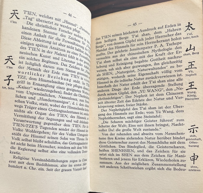 Rare, 1929, Maximilian Esterer, China's Natürliche Ordnung und die Maschine, Sun Yat-sen, Dust Jacket by Frans Masereel - Image 7