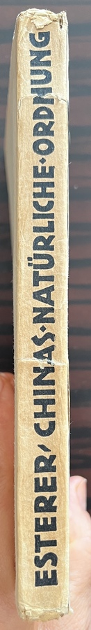 Rare, 1929, Maximilian Esterer, China's Natürliche Ordnung und die Maschine, Sun Yat-sen, Dust Jacket by Frans Masereel - Image 15