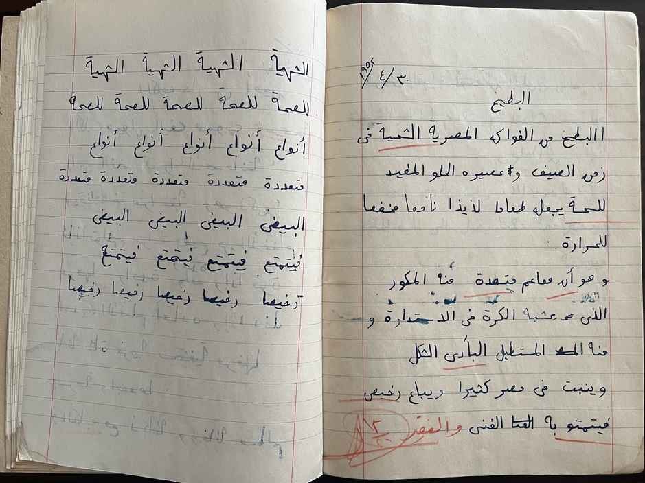 Rare, 1949–1954, Lot of 5 Vintage Greek School Notebooks, Ambetios School, Cairo Greek Community School - Image 5