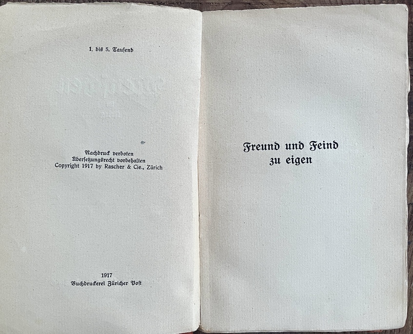 Rare, 1917, Menschen im Krieg, Andreas Latzko, Rascher & Co Zürich, Anti-war Pacifism, First Edition - Image 4