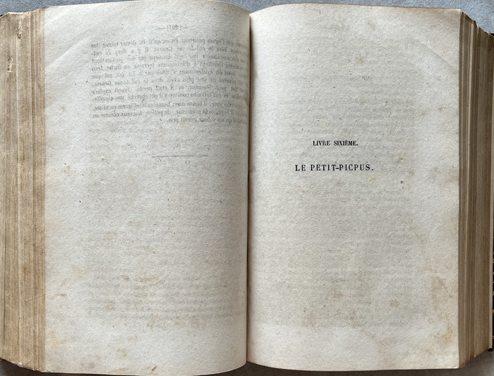 Scarce, 1862–1863, Victor Hugo, Les Misérables, Constantinople Printing, Imprimerie de la Presse d'Orient - Image 17