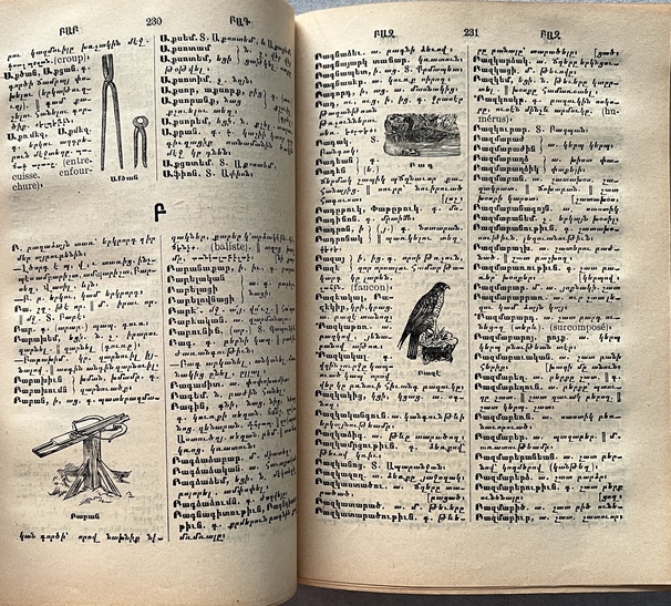 Rare 1907 Armenian Dictionary — Simon Gabamadjian — Illustrated — Constantinople - Image 7