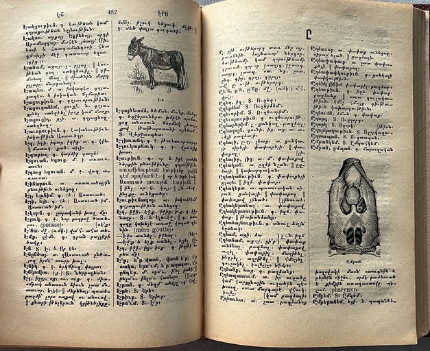 Rare 1907 Armenian Dictionary — Simon Gabamadjian — Illustrated — Constantinople