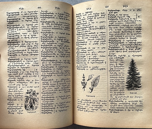 Rare 1907 Armenian Dictionary — Simon Gabamadjian — Illustrated — Constantinople - Image 8