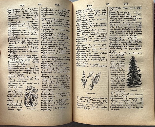 Rare 1907 Armenian Dictionary — Simon Gabamadjian — Illustrated — Constantinople - Image 5