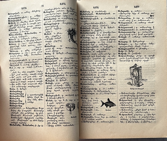 Rare 1907 Armenian Dictionary — Simon Gabamadjian — Illustrated — Constantinople - Image 4