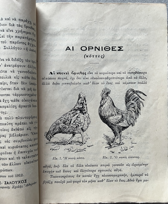 Rare, 1913, Greek School Garden, Signed First Issue, Domestic Birds, Dimitrios Zalouchos, Signed - Image 4