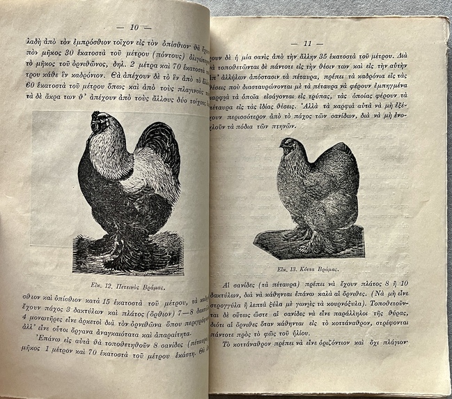 Rare, 1913, Greek School Garden, Signed First Issue, Domestic Birds, Dimitrios Zalouchos, Signed - Image 5