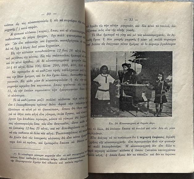 Rare, 1913, Greek School Garden, Signed First Issue, Domestic Birds, Dimitrios Zalouchos, Signed - Image 6