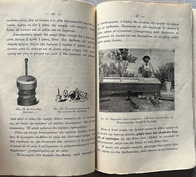 Rare, 1913, Greek School Garden, Signed First Issue, Domestic Birds, Dimitrios Zalouchos, Signed - Image 7