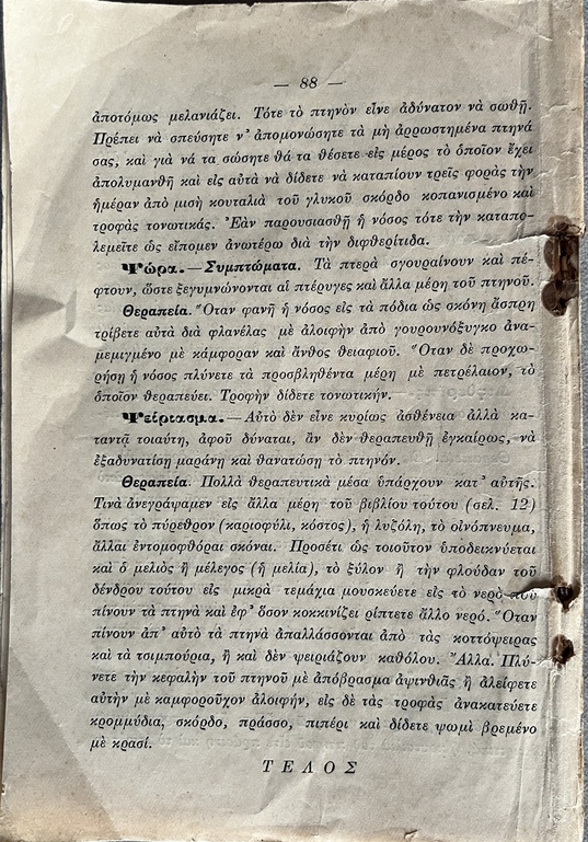 Rare, 1913, Greek School Garden, Signed First Issue, Domestic Birds, Dimitrios Zalouchos, Signed - Image 10